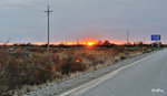 101026503NcLs