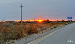 101026504NcLs
