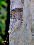 200808601NCLN