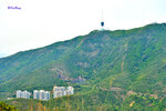 210403238NNCM