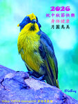 1001010111LRB-MB