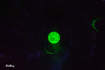 120415053LRCM