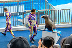 181206085LRCMN