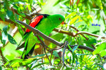 09122636aCMN