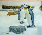 091228053LRCMN