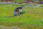 091230801LRNCM