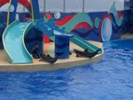 CIMG2085