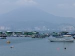 恬靜魚排