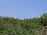 CIMG2902