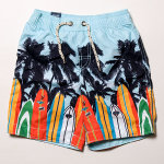 #G737493 | Baby GAP Surfboard & Palm Tree Graphic Swim Short - SOLD OUT