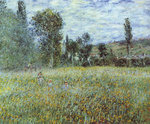 Meadow Outside Vetheuil
