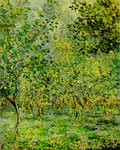 Under the lemon trees, Bordighera