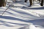 DSC_4253_2