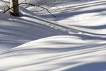 DSC_4258_2
