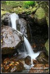IMG_6944