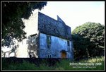 IMG_6964-2