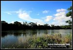 IMG_6981-3