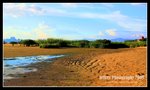 IMG_6991-2