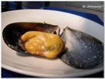 Mussel