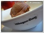 Dark Chocolate Orange Ice-cream