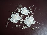 P1020037