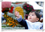 BB也賞花