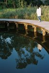 21.11.2009@Wetland park