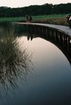 21.11.2009@Wetland park