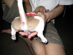 IMG_0146