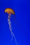 DSC_3073[1]