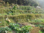 DSC07225