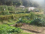 DSC07226