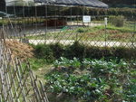 DSC09538