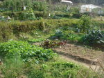 DSC09550