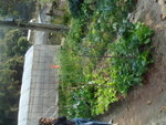 DSC09555