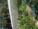 DSC09556