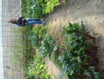 DSC09557