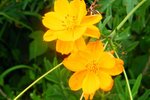 DSCF0318
