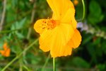 DSCF0319