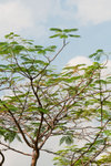 _DSC0096