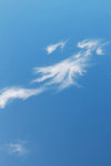 IMG_6009_resize