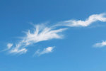 IMG_6023_resize