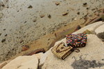 IMG_2795_resize