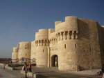 P1000561