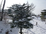 P1030190