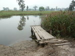 P1000245