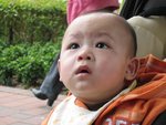 IMG_7416