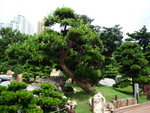 P1000207