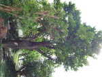 P1000209