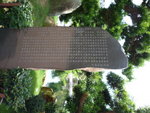 P1000226